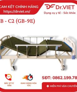 Giường bệnh Lucass GB-C2 (GB9E)