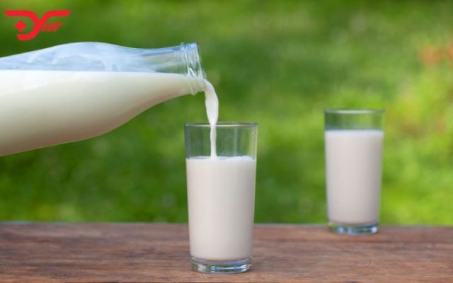 Sữa tươi tốt cho người bị loãng xương