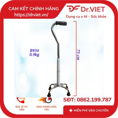 Gậy tập đi Lucass B-934