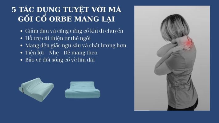 Gối cổ Orbe 