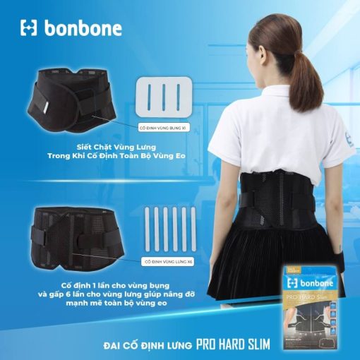 Đai cố định